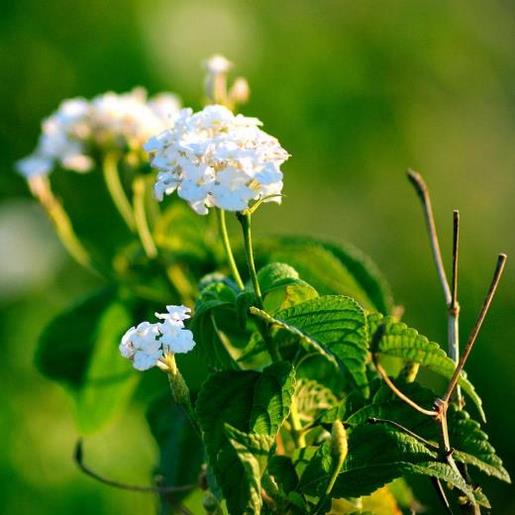 励志早安说说配图 签名说说励志简短