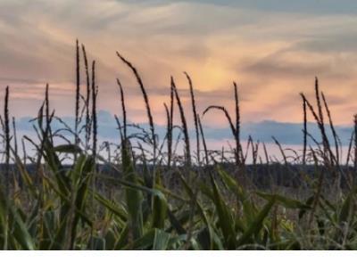 唯一没有变的是他们有多想念你