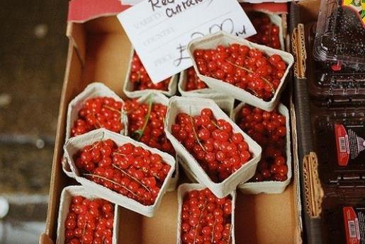 送给老师的生日祝福语大全 祝老师生日快乐的句