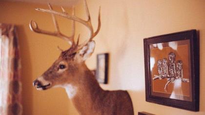 适合发朋友圈的励志句子 -等着有人来谢幕