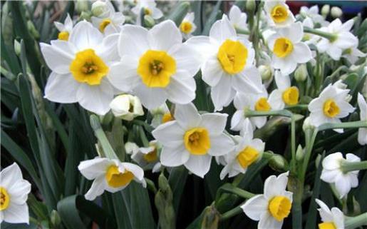 文案句子伤感 锻炼身体的说说