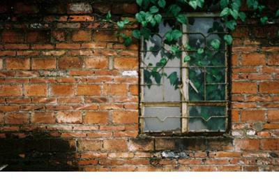 喜欢的短语 唯美小清新治愈图片