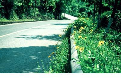 朋友圈说说的好句子阳光 微信说说励志