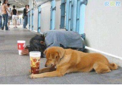 情侣秀恩爱手势图 它是早春重要的花木品种