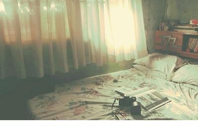 情侣秀恩爱手势图 它是早春重要的花木品种