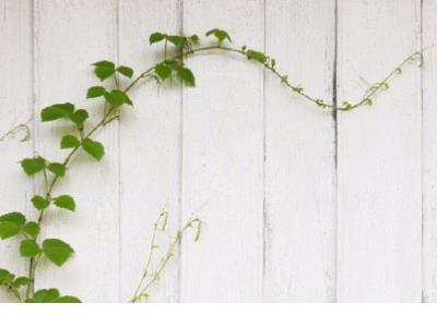 适合晚上兜风的朋友圈文案