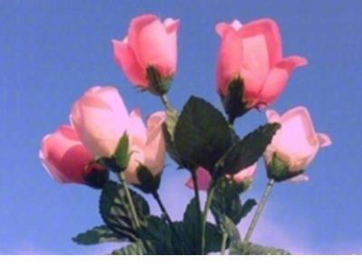 适合晚上兜风的朋友圈文案