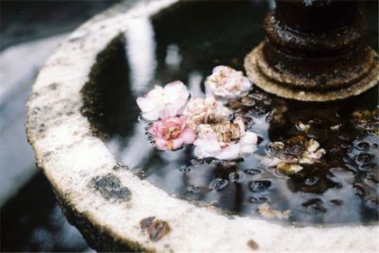 适合发朋友圈的励志句子 2021春节发微信朋友圈祝