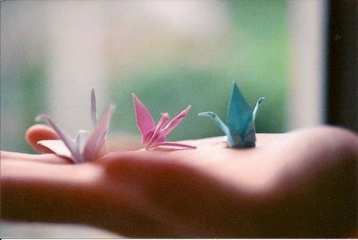 2020元旦朋友圈说说 只有女性才会流血一周而不死