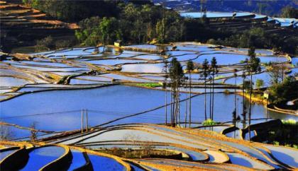 适合做生意的微信头像 微信说说励志