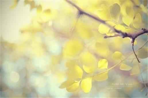 伤感签名女生短句子 关于2021年qq的签名