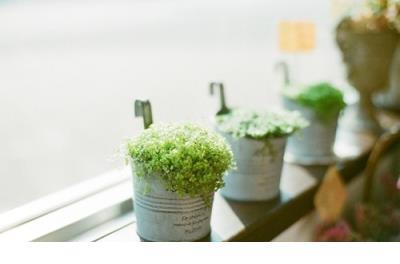 2020最新早安短句