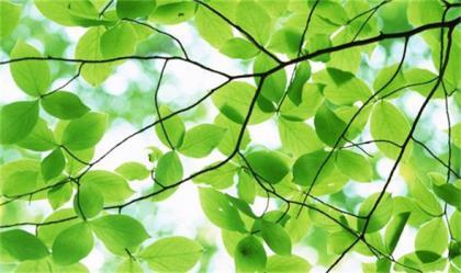 工作励志说说心情短语 简短励志句子大全