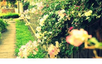 人生感悟对生活无奈的句子 感叹人生无奈的诗句