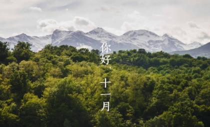 我住在一个没有你的城市