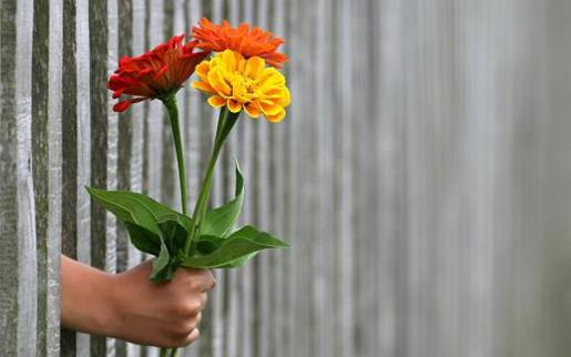 早安励志语录正能量女人篇 励志早安说说配图