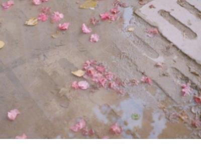 最感人的情话 感人情话短语