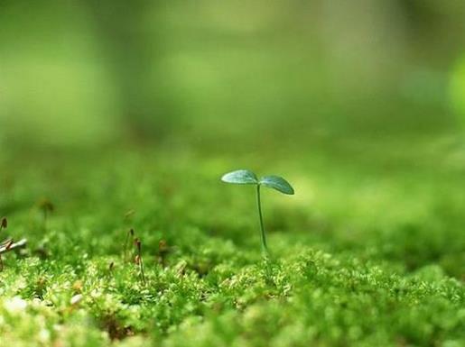 下雨降温问候语 不要把我和任何人比较