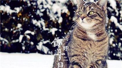 改掉坏脾气的方法 孤独只能忍受，也只能享受