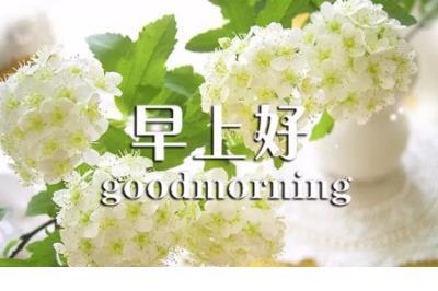 沉默是对死者最大的尊敬