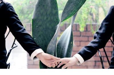 在阳光下成长的句子