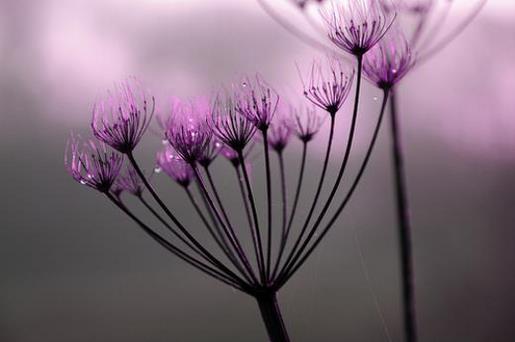 早上励志说说致自己 清晨励志语录正能量的