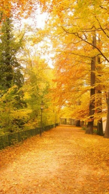 冬天有内涵的女人微信名 微信支付每次都要短信