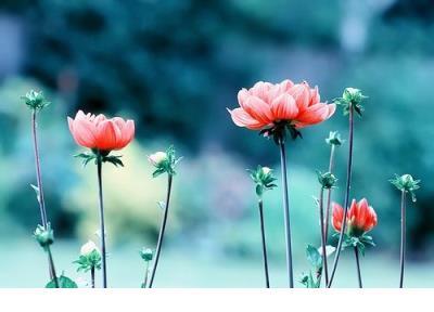 闺蜜聚会的朋友圈说说心情短语