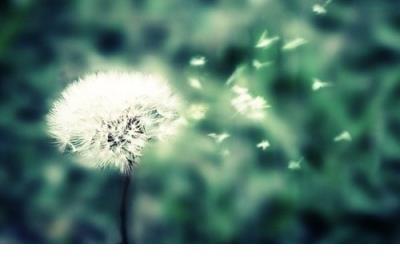 男闺蜜生日寄语 一点混乱会让你更快乐