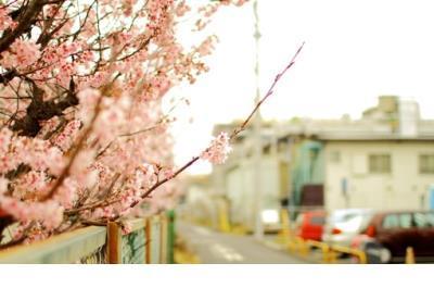 祝福考试顺利过关的句子 祝福大车司机的句子