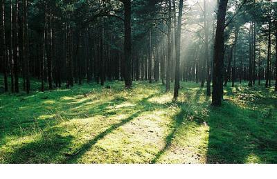 励志说说大全短句 危机时见部长节，乱时忠与善