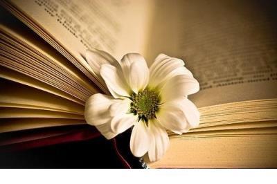 叫人安静的句子 挽留一个人的句子