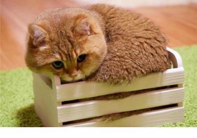 一个人励志的说说心情短语 励志说说大全带图片