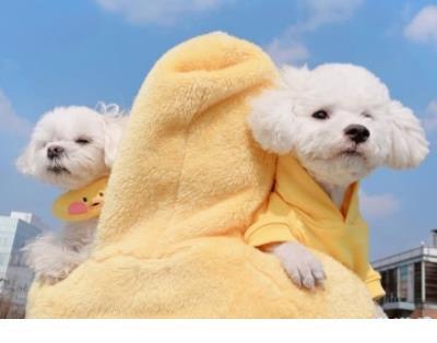 爱一个女孩子的说说 吵吵闹闹的爱情说说经典