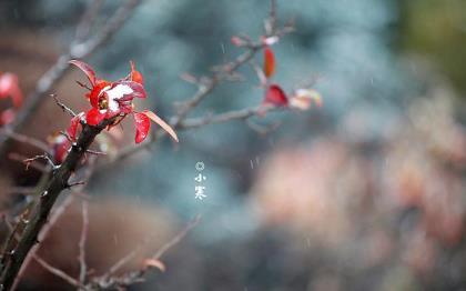 极度伤心绝望的句子