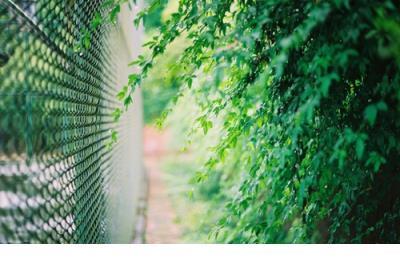 环保宣传标语大全 保护水的标语宣传语