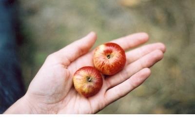 爱情说说大全一段话 暖心语