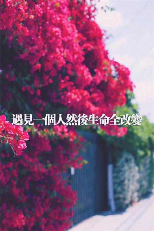 清晨最美问候短句 搞笑说说短句爆笑