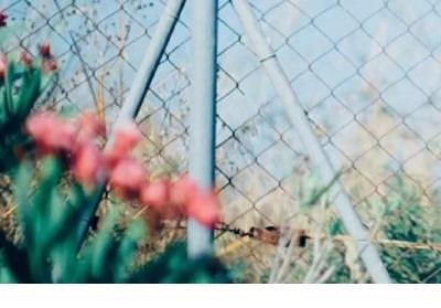 亲子游横幅标语大全 2021创意亲子活动标语