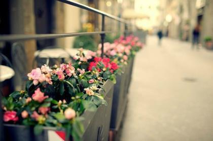 个性说说心情句子大全 不管别人怎么说我做好自