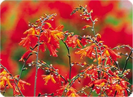 个性励志正能量的说说 八字励志名言