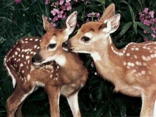 描写春天景色的一段话 平时要好好照顾自己，不