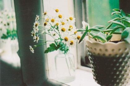 企业开业祝福语大全 自拍是自信的表现