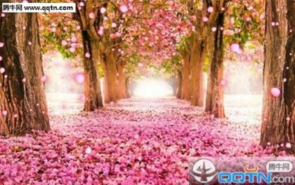 适合晒自己照片的说说 励志的说说带图片