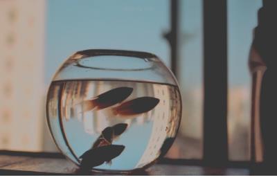 心烦的句子说说心情 心里堵的慌的心情图片