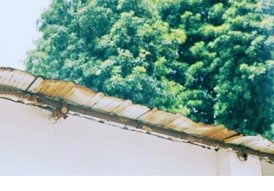 自信的女人最美的句子 女人自信霸气个性签名