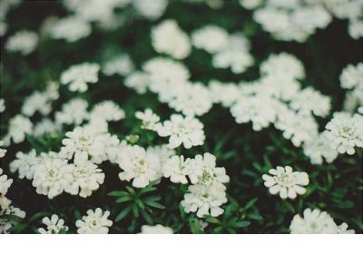 描写夕阳晚霞唯美句子 不要太努力去取悦别人