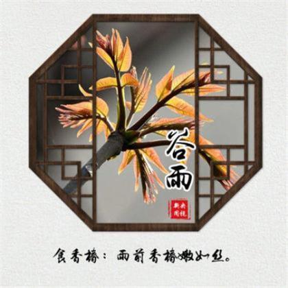 校园风格的自创歌词 承诺太过廉价，经不起试验