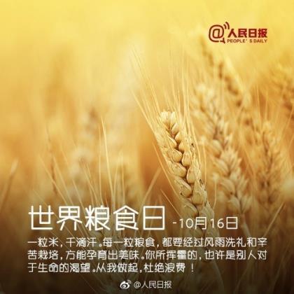 校园风格的自创歌词 承诺太过廉价，经不起试验