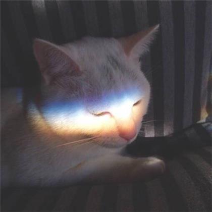 对我来说，不学习毋宁死